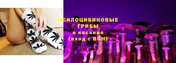 крисы Медногорск