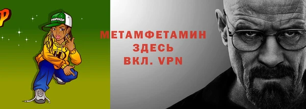 индика Волоколамск