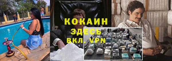 крисы Медногорск