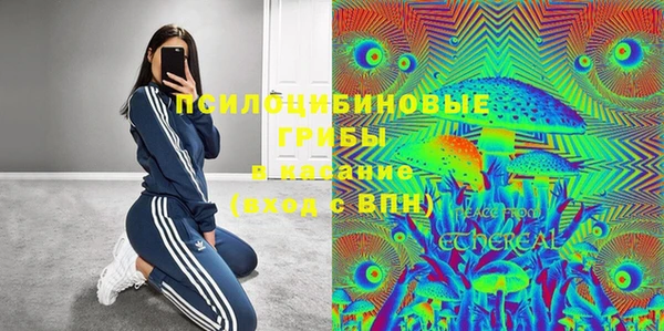 крисы Медногорск