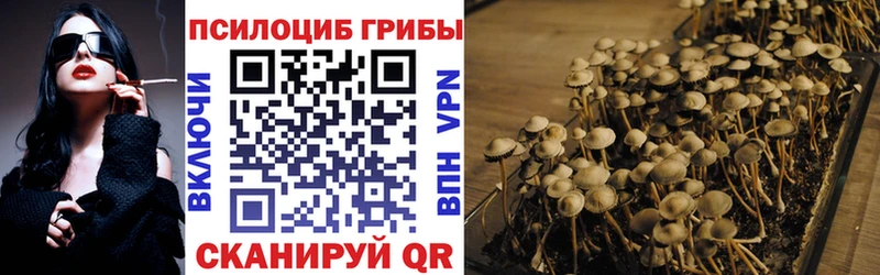 где найти наркотики Талица OMG как войти Галлюциногенные грибы Psilocybine cubensis
